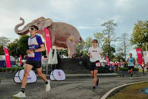 BIB: 
                            <button type="button" onclick="openModal(26529183)" class="btn btn-primary btn-sm float-right btn-popup" data-toggle="modal" data-target=".modal-high-quality">
                        <i class="fas fa-shopping-cart"></i> Add to Cart
                    </button>
                                            <button type="button" onclick="isThisMe(26529183, true)" class="btn btn-success btn-sm float-right btn-popup btn-isme hidden" data-toggle="tooltip" data-placement="bottom" title="นี่คือรูปของคุณใช่ไหม คลิกที่นี่เพื่อเอาเข้าอัลบั้ม">
                        <i class="fas fa-plus"></i> Add to album
                    </button>
                    <button type="button" onclick="isThisMe(26529183, false)" class="btn btn-warning btn-sm float-right btn-popup btn-isnotme hidden">
                        <i class="fas fa-ban"></i> Remove from album
                    </button>